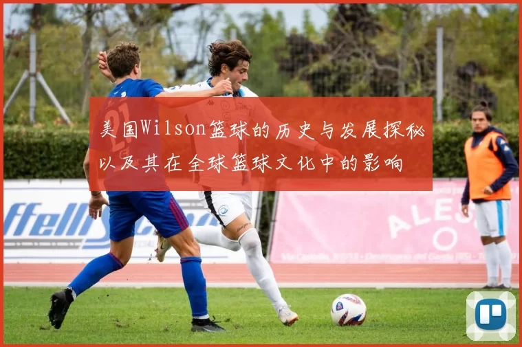 美国Wilson篮球的历史与发展探秘以及其在全球篮球文化中的影响
