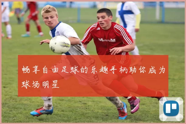 畅享自由足球的乐趣手柄助你成为球场明星